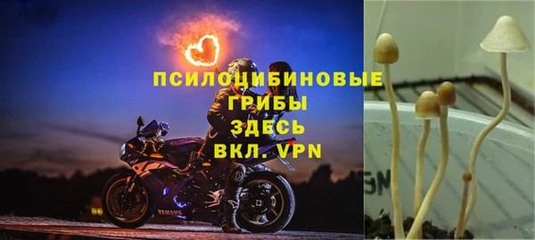 прущие крисы Алексин