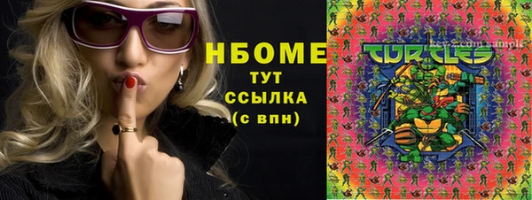 индика Алзамай