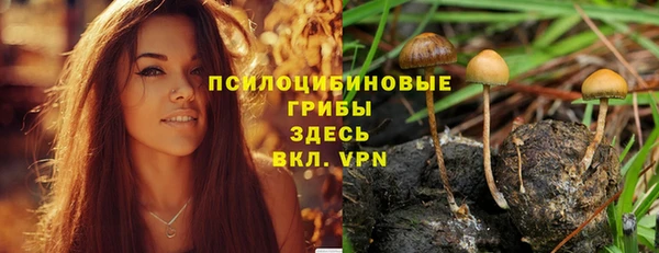 бутират Арсеньев