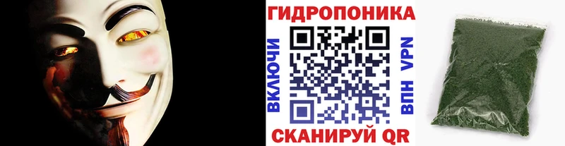 Канабис ГИДРОПОН  купить наркотик  Георгиевск 